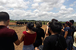 Visita a Fazenda Três Marias, do Grupo Líder